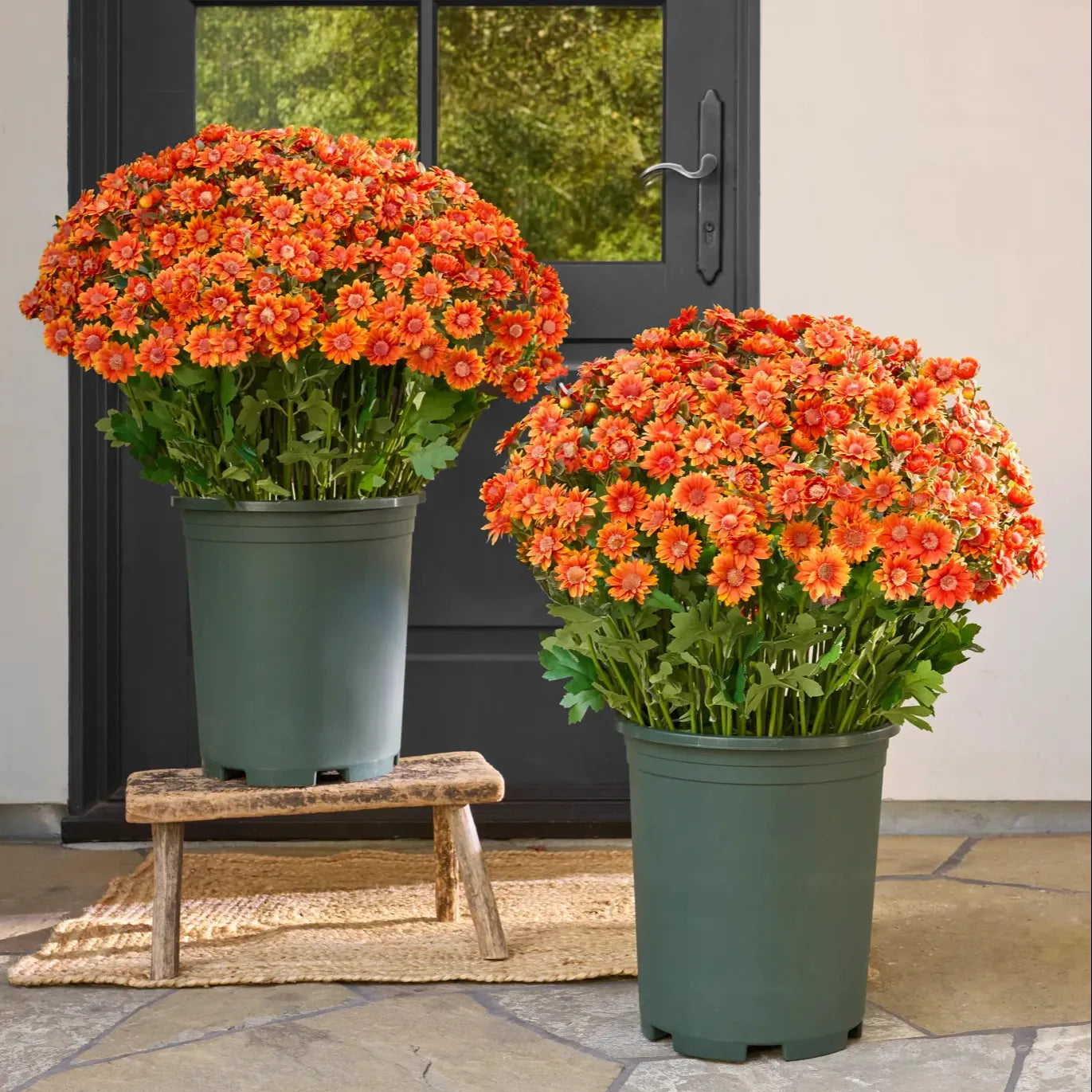 💥Last Day Each - Artificial Outdoor Sunset Mums Flowers - Waterproof, Windproof